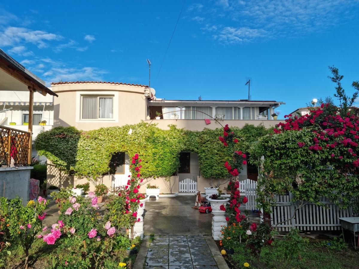 Guesthouse Novi Драч Екстериор снимка