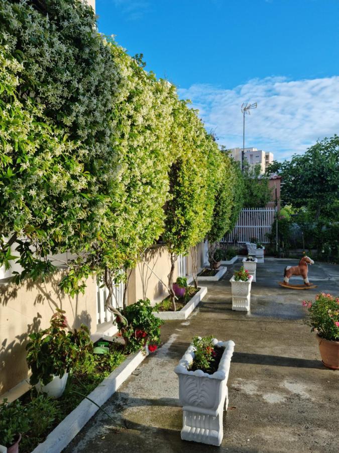 Guesthouse Novi Драч Екстериор снимка