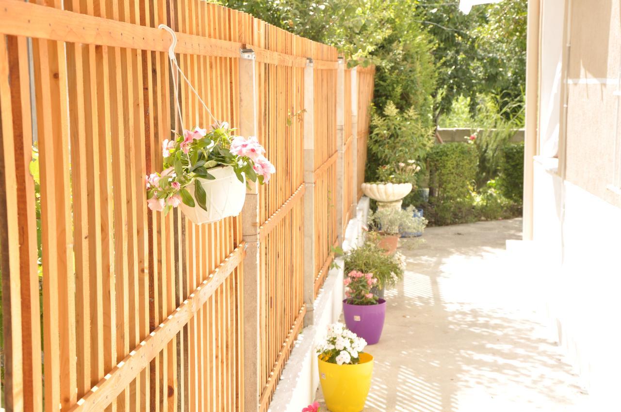Guesthouse Novi Драч Екстериор снимка